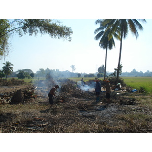 รูปถ่าย ไทย(Thailand) พิษณุโลก(Phitsanulok) 2008-01 17