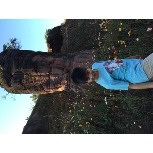 รูปถ่าย ไทย(Thailand) อุทยานแห่งชาติภูหินร่องกล้า(Phu Hin Rong Kla National Park) 2014-12 65