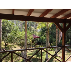 รูปถ่าย คอสตาริกา(Costa Rica) อูบีตา(Uvita) 2015-03 25
