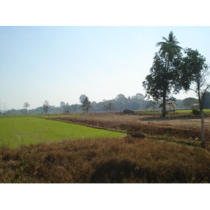 รูปถ่าย ไทย(Thailand) พิษณุโลก(Phitsanulok) 2008-01 12