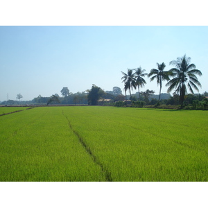 รูปถ่าย ไทย(Thailand) พิษณุโลก(Phitsanulok) 2008-01 4