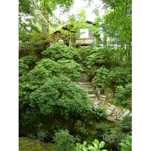 รูปถ่าย ญี่ปุ่น(Japan) เกียวโต(Kyoto) วัดคินกะกุจิ (ศาลาทอง)(Kinkakuji Temple(Golden Pavilion)) 2010-06 44