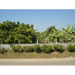 รูปถ่าย ไทย(Thailand) พิษณุโลก(Phitsanulok) 2008-01 45