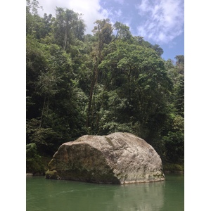 รูปถ่าย คอสตาริกา(Costa Rica) แม่น้ำปากัวเร(Pacuare River) 2015-03 146