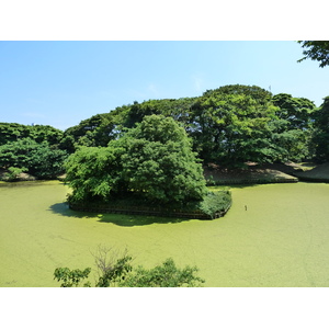 รูปถ่าย ญี่ปุ่น(Japan) โตเกียว(Tokyo) สวนฮามะริคิว(Hama rikyu Gardens) 2010-06 70