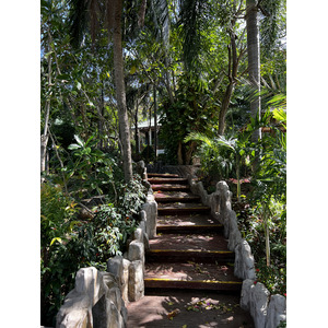 รูปถ่าย ไทย(Thailand) ภูเก็ต(Phuket) หาดกะตะ(Kata Beach) กะตะการ์เด้นรีสอร์ต(Kata Garden Resort) 2021-12 16