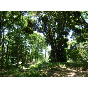 รูปถ่าย ญี่ปุ่น(Japan) โตเกียว(Tokyo) สวนฮามะริคิว(Hama rikyu Gardens) 2010-06 58
