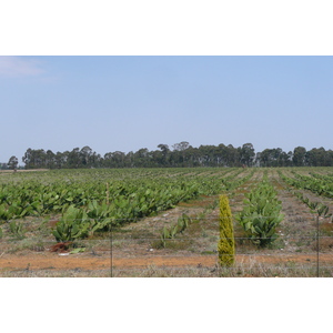 รูปถ่าย แอฟริกาใต้(South Africa) ถนนจากเนลสปรุตไปโจฮันเนสเบิร์ก(Nelspruit to Johannesburg road) 2008-09 104