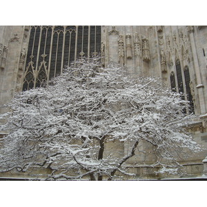 รูปถ่าย อิตาลี(Italy) มิลาน(Milan) 2005-03 23