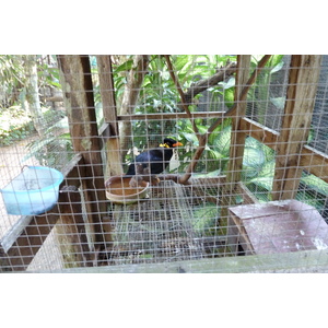 รูปถ่าย ไทย(Thailand) เชียงใหม่(Chiang Mai) ฟาร์มงูแม่สา(Mae Sa Snake Farm) 2010-12 86