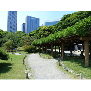 รูปถ่าย ญี่ปุ่น(Japan) โตเกียว(Tokyo) สวนฮามะริคิว(Hama rikyu Gardens) 2010-06 56