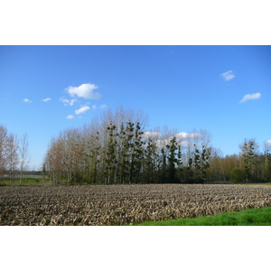 รูปถ่าย ฝรั่งเศส(France) อ็องบวซ(Amboise) ถนนจากอ็องบวซไปบลัว(Amboise to blois road) 2008-04 41