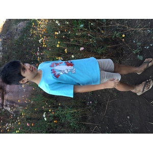 รูปถ่าย ไทย(Thailand) อุทยานแห่งชาติภูหินร่องกล้า(Phu Hin Rong Kla National Park) 2014-12 9
