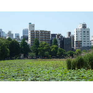 รูปถ่าย ญี่ปุ่น(Japan) โตเกียว(Tokyo) อุเอโนะ(Ueno) 2010-06 78