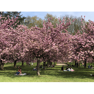 รูปถ่าย ฝรั่งเศส(France) สวนโซ(Parc de Sceaux) 2019-04 64