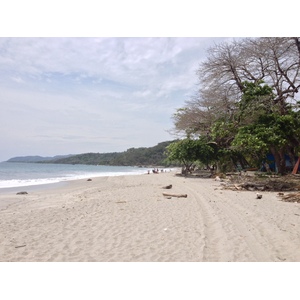 รูปถ่าย คอสตาริกา(Costa Rica) มอนเตซูมา(Montezuma) 2015-03 44