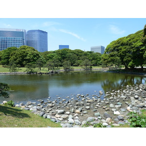 รูปถ่าย ญี่ปุ่น(Japan) โตเกียว(Tokyo) สวนฮามะริคิว(Hama rikyu Gardens) 2010-06 34