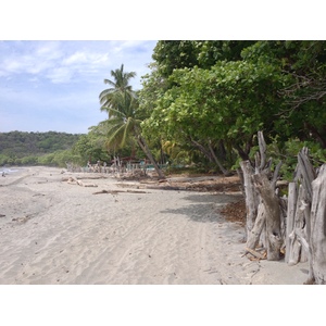รูปถ่าย คอสตาริกา(Costa Rica) มอนเตซูมา(Montezuma) 2015-03 619