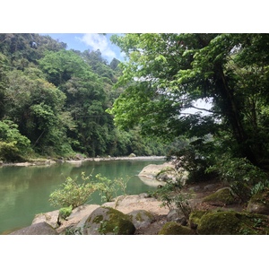 รูปถ่าย คอสตาริกา(Costa Rica) แม่น้ำปากัวเร(Pacuare River) 2015-03 159