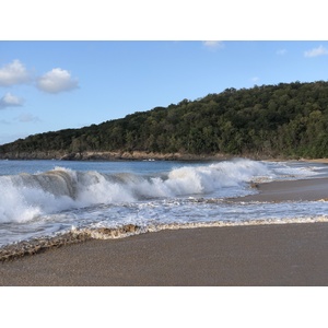 รูปถ่าย กวาเดอลูป(Guadeloupe) หาดลาแปร์ล(La Perle Beach) 2021-02 112