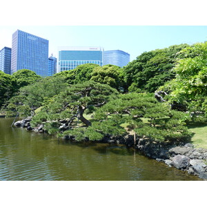 รูปถ่าย ญี่ปุ่น(Japan) โตเกียว(Tokyo) สวนฮามะริคิว(Hama rikyu Gardens) 2010-06 60