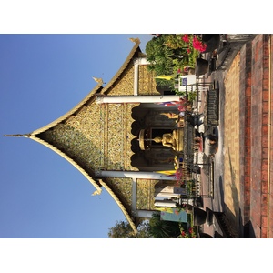 รูปถ่าย ไทย(Thailand) เชียงใหม่(Chiang Mai) 2014-12 53