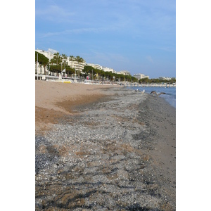 รูปถ่าย ฝรั่งเศส(France) คานส์(Cannes) หาดทราย(Beach) 2008-04 42