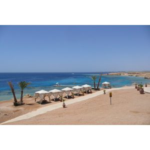 รูปถ่าย อียิปต์(Egypt) ชาร์มเอลชีค(Sharm el Sheikh) โรงแรมไฮแอต(Hyatt Hotel) หาดไฮแอต ชาร์มเอลชีค(Hyatt Sharm el Sheikh Beach) 2008-06 44