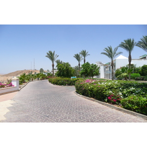 รูปถ่าย อียิปต์(Egypt) ชาร์มเอลชีค(Sharm el Sheikh) โรงแรมไฮแอต(Hyatt Hotel) หาดไฮแอต ชาร์มเอลชีค(Hyatt Sharm el Sheikh Beach) 2008-06 41