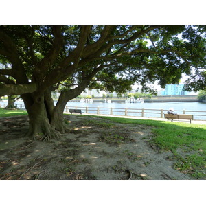 รูปถ่าย ญี่ปุ่น(Japan) โตเกียว(Tokyo) สวนฮามะริคิว(Hama rikyu Gardens) 2010-06 89