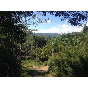 รูปถ่าย คอสตาริกา(Costa Rica) อูบีตา(Uvita) 2015-03 22