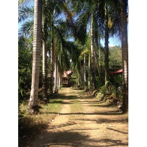 รูปถ่าย คอสตาริกา(Costa Rica) อูบีตา(Uvita) 2015-03 36