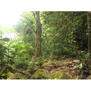 รูปถ่าย คอสตาริกา(Costa Rica) แม่น้ำปากัวเร(Pacuare River) 2015-03 141