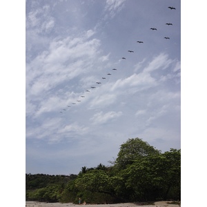 รูปถ่าย คอสตาริกา(Costa Rica) มอนเตซูมา(Montezuma) 2015-03 571