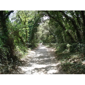 รูปถ่าย ฝรั่งเศส(France) โซเมียร์(Sommieres) 2006-06 109
