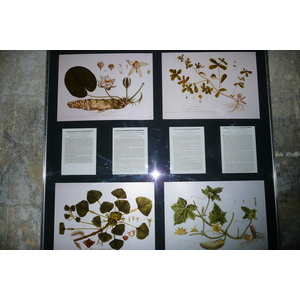รูปถ่าย ฝรั่งเศส(France) ตาราสกง(Tarascon) ปราสาทตาราสกง(Tarascon Castle) 2008-04 0