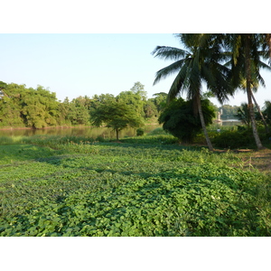 รูปถ่าย ไทย(Thailand) พิษณุโลก(Phitsanulok) จอมทอง(Chom Thong) 2009-12 40