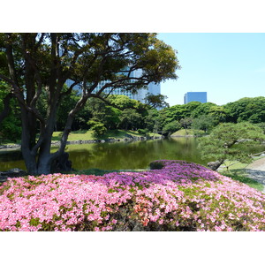 รูปถ่าย ญี่ปุ่น(Japan) โตเกียว(Tokyo) สวนฮามะริคิว(Hama rikyu Gardens) 2010-06 82