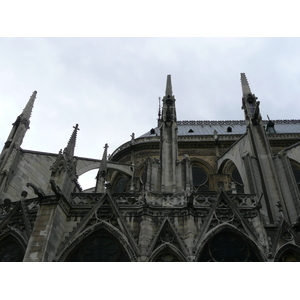 รูปถ่าย ฝรั่งเศส(France) ปารีส(Paris) มหาวิหารน็อทร์-ดาม(Notre Dame) 2007-05 80