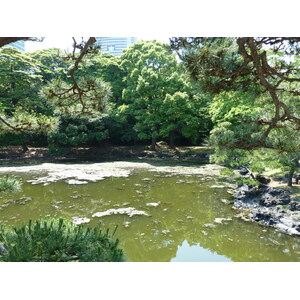 รูปถ่าย ญี่ปุ่น(Japan) โตเกียว(Tokyo) สวนฮามะริคิว(Hama rikyu Gardens) 2010-06 83