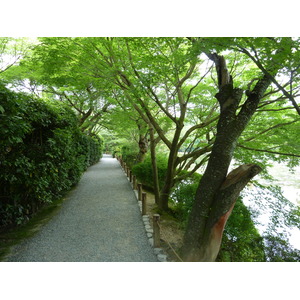รูปถ่าย ญี่ปุ่น(Japan) เกียวโต(Kyoto) วัดเรียวอันจิ(Ryoanji Temple) 2010-06 49
