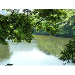 รูปถ่าย ญี่ปุ่น(Japan) โตเกียว(Tokyo) สวนฮามะริคิว(Hama rikyu Gardens) 2010-06 63