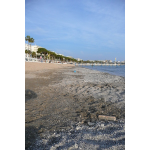 รูปถ่าย ฝรั่งเศส(France) คานส์(Cannes) หาดทราย(Beach) 2008-04 34