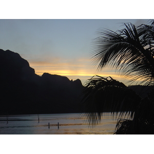 รูปถ่าย เฟรนช์โพลี่นีเซีย(Polynesia) โรงแรมเลอเมอริเดียน โบราโบรา(Meridien Bora Bora Hotel) 2006-04 212