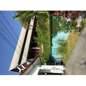 รูปถ่าย ไทย(Thailand) เชียงใหม่(Chiang Mai) 2014-12 21