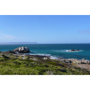 รูปถ่าย แอฟริกาใต้(South Africa) เฮอร์มานัส(Harmanus) 2008-09 227