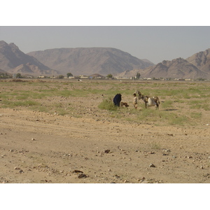 รูปถ่าย จอร์แดน(Jordan) ทะเลทรายวาดีรัม(Wadi Rum Desert) 2004-10 85
