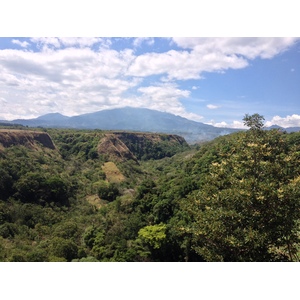 รูปถ่าย ปานามา(Panama) โบเกเต(Boquete) 2015-03 143
