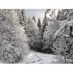 รูปถ่าย ฝรั่งเศส(France) ลากลูซา(La Clusaz) 2017-12 243