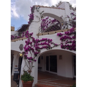 รูปถ่าย อิตาลี(Italy) ซาร์ดิเนีย(Sardinia) ปอลตูกวาตู(Poltu Quatu) 2015-06 9